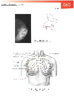 Sobotta  Atlas of Human Anatomy  Trunk, Viscera,Lower Limb Volume2 2006, page 72